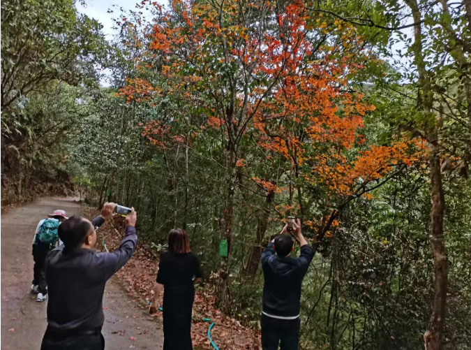 1766976038111367.png image.png