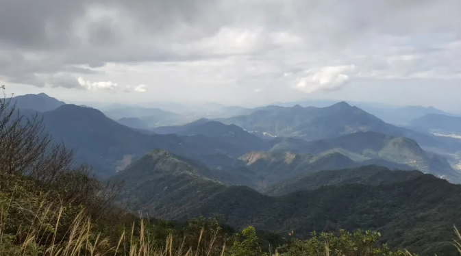 1766976076380079.png image.png